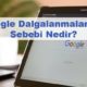 Google Dalgalanmalarının Sebebi Nedir?